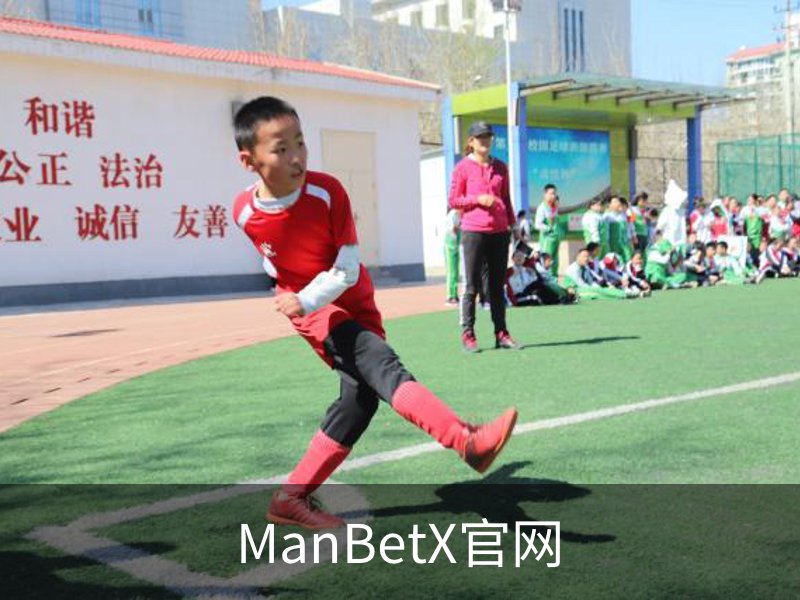 ManBetX官网概况